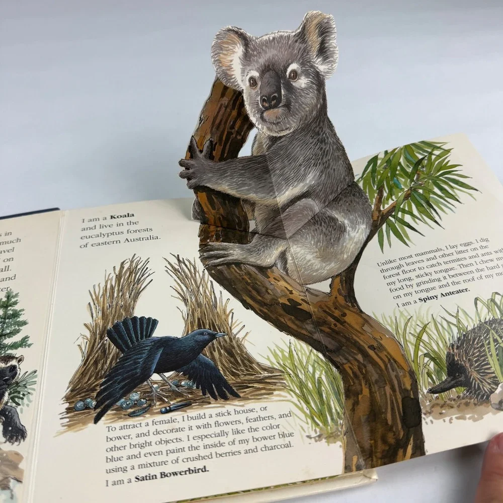 Scholastic wild animal